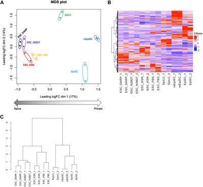 Development of a chemically disclosed serum-free medium for mouse pluripotent stem cells